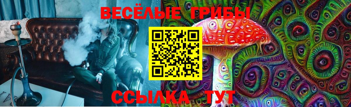 Балабаново  Псилоцибиновые грибы прущие грибы  где найти   Вход с VPN 